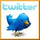 Camiller-s-DALmbUxyxH-twitter logo